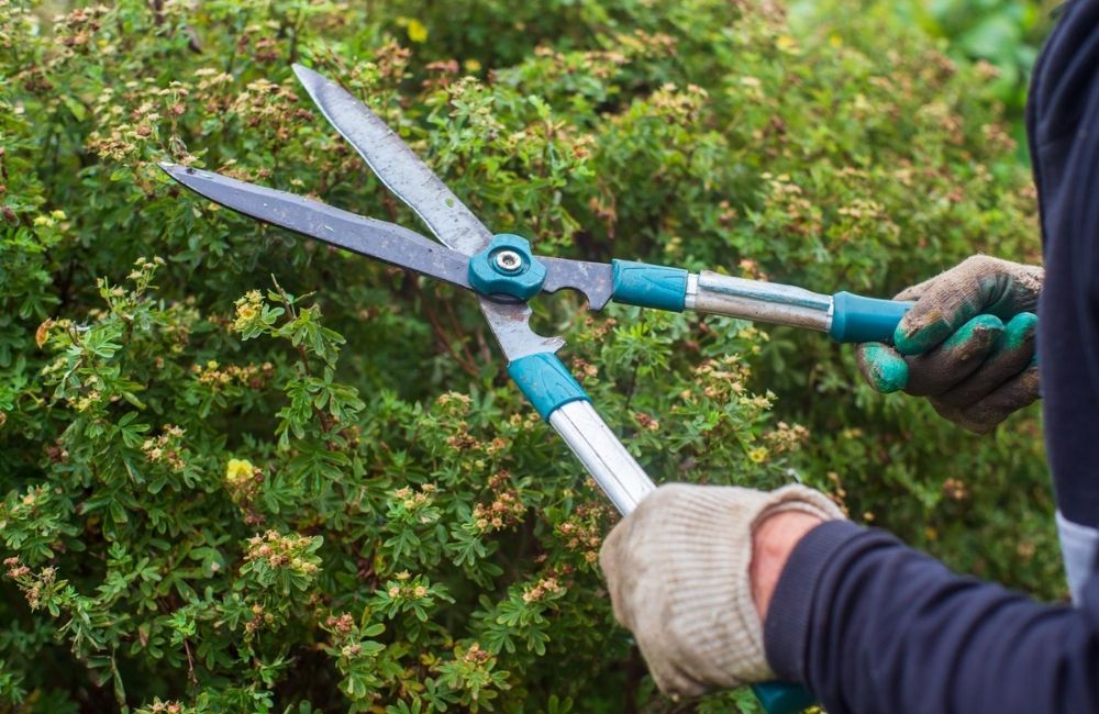 Mantenimiento de Zonas Comunes en Mataró | Servicios de Limpieza en Mataró